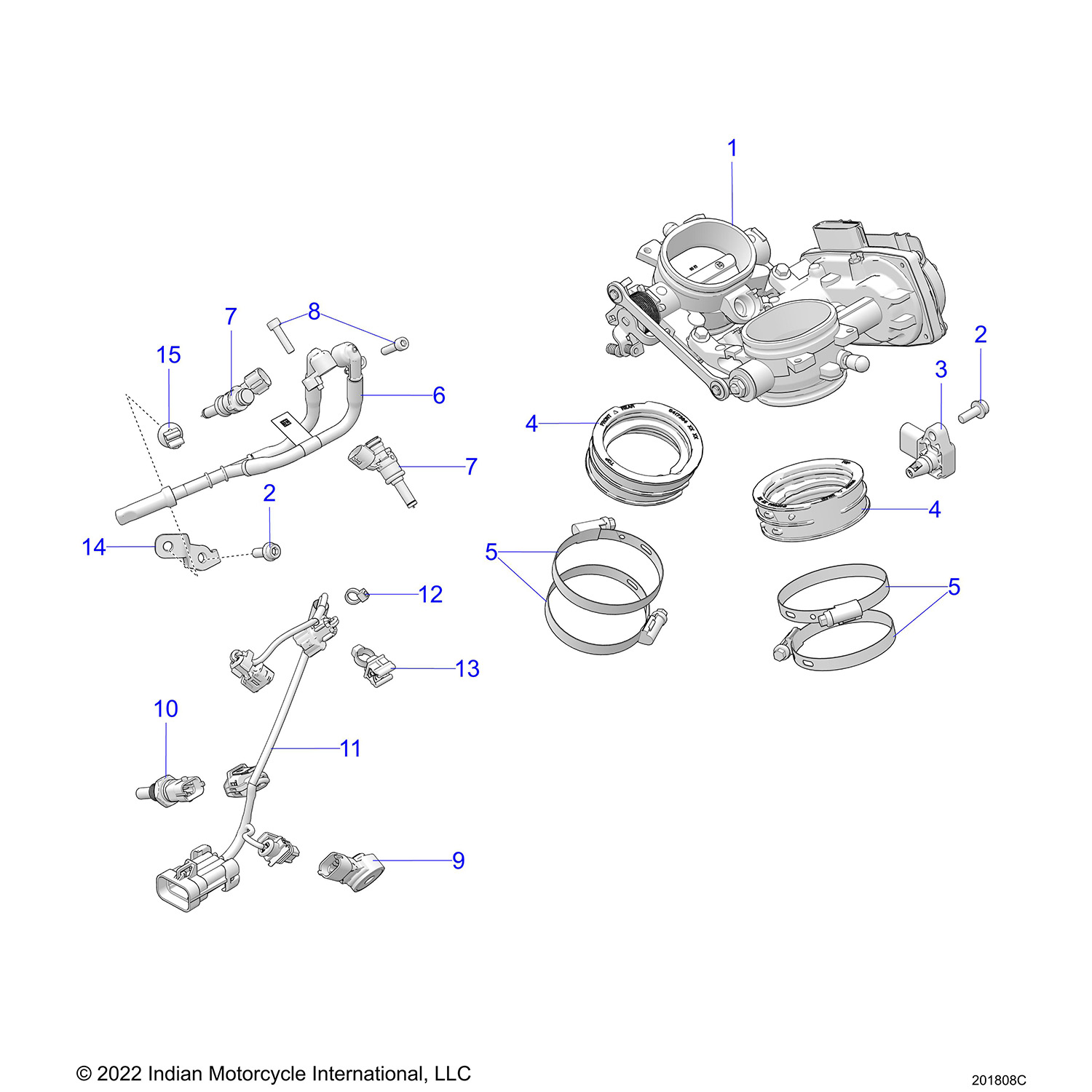 ENGINE, THROTTLE BODY AND FUEL RAIL